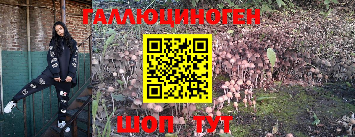 Галлюциногенные грибы Cubensis  где купить наркотик  Боровичи  Вход с VPN 